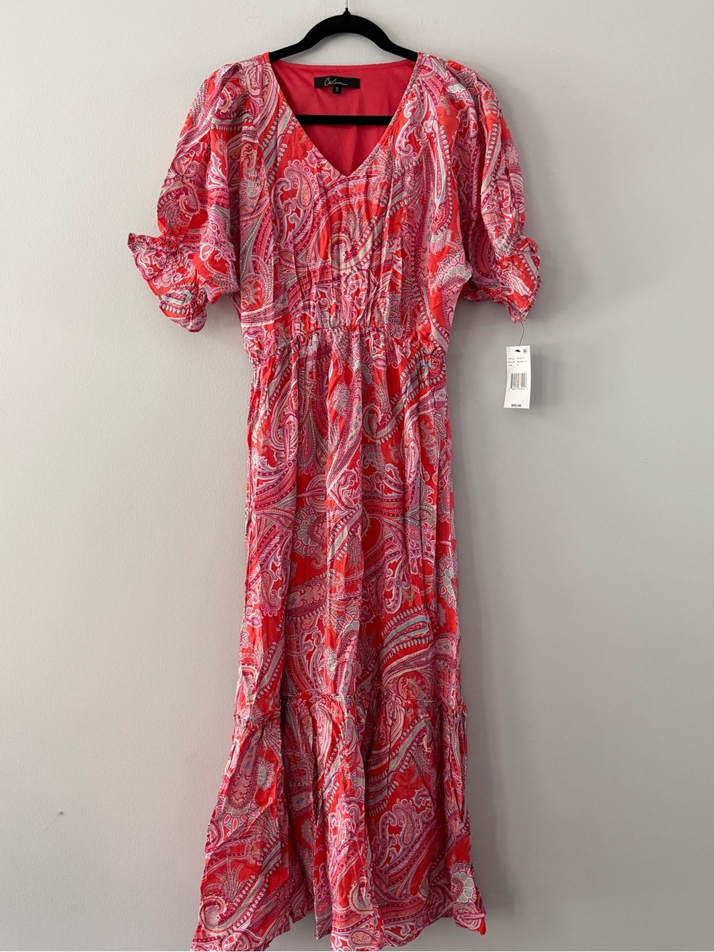 Calessa Red Paisley Maxi Dress